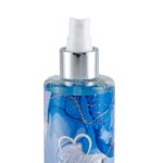 بادی اسپلش مردانه هات لاو مدل Bleu The Chanel حجم 260 میلی لیتر | بادی اسپلش مردانه هات لاو مدل Bleu The Chanel حجم 260 میلی لیتر - تصویر 3